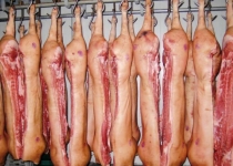 Закупівельні ціни на свинину поповзли вгору