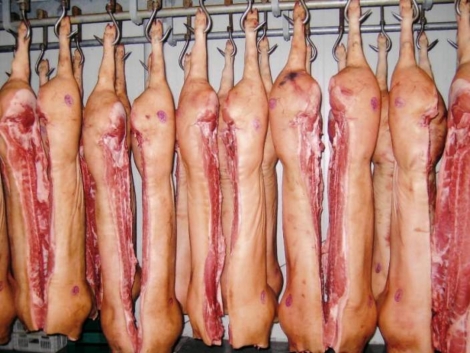 Закупівельні ціни на свинину поповзли вгору