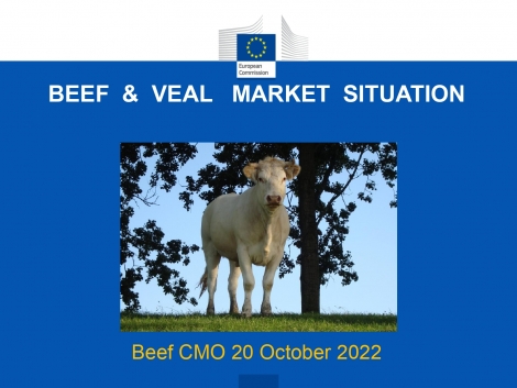 BEEF & VEAL MARKET SITUATION on October 2022 in EU